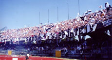 tifosi-partenio