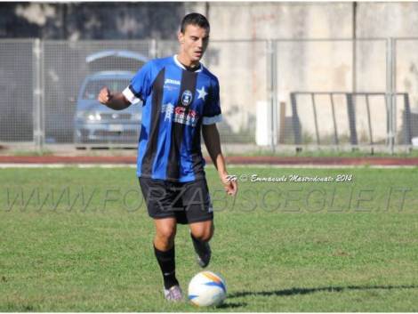 riccio