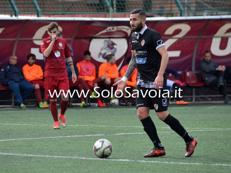 liccardo